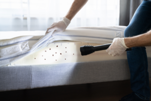 Zavodnick & Lasky Personal Injury Lawyers | Philadelphia Bed Bug Lawyer How Will a Philadelphia Bed Bug Attorney Help Me?
